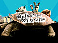 WalkontheWildSideSeries2Episode2