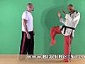 KarateCombatTechniques