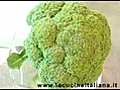 Pulireibroccoli