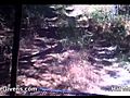 MoultrieReActionVideoCameraReview