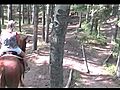 HorsebackRidinginBanff