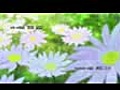 HanasakuIroha7