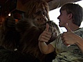 BigfootBigfoot