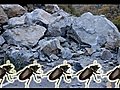 BeetlesandRollingStonesvlog