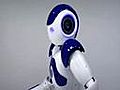 NaoRobot
