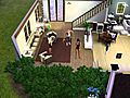 Sims3WTFmoment