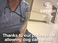 DogCam15SwedishEdmondsTherapyPup