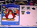 FreeClubPenguinNonMemberAccount3updated31Aug2010