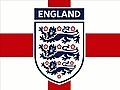 EnglandWorldCup2010mix