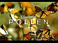 PollenBandeannonce