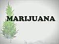 FactsYouneedtoknowaboutMarijuana