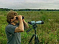 PlantsandSpeciesofNativeGrasslands