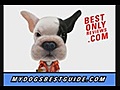 DogTrainingthatWorksevenforDummies