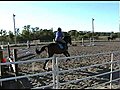 HorseJumpingCourse
