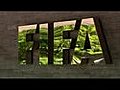 FIFApresidentialcrisis