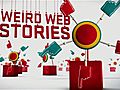 WeirdWebStories