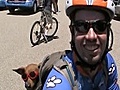 RidingwithDogs