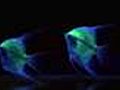 Glowingnewfluorescentangelfish