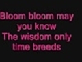 bloombloomlyrics