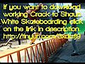 DownloadShaunWhiteSkateboardingCRACKfree