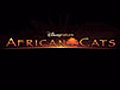 AfricanCatsBeingHunted
