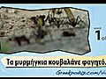 4InsectsGreekonlyLearnwithVideoH264foriPodvideoandiPhone640x480goodm4v