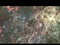 Hubblecast44HubblespiesontheTarantulaNebulaESAHubbleavi