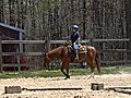 HorsebackRidingTrotting