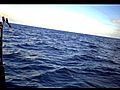 solomarlinfishingNSWsouthcoastfilmedonvideosunglasses