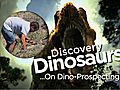 DinosDinoProspecting