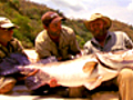 100PoundFish