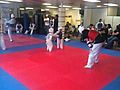 taekwondosparring