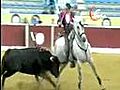Bullfightcorrida