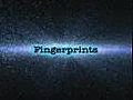 FingerprintsterminolgyinQuran