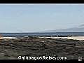 Galapagosvideoblog2008Video05