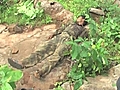 MaoistkilledinKeonjhar