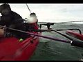 kayakfishingcrazysailingspeedatodopohang