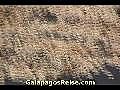 TheGalapagosIslandsVideoBlogPart11
