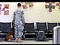POLICEDogfromAfghanistantrainingattheairport