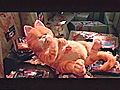 GarfieldTheMovie