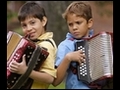 Elngeldelacordenunhomenajealvallenato