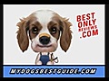 DogTrainingthatWorksevenforDummies