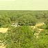 MumbaiHCpermitsBMCtocutmangroves