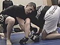 UFCLiveopenworkouts