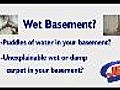 WetBasementSigns