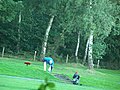 GolfCourseAirhornvideo