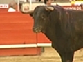 Bullfightingartheritageorbarbarism