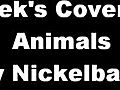 AnimalsNickelbackGuitarCover