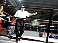 boxeraperfighting
