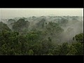 JangalVIVoyagedanslAmazoniedusoja